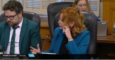 La députée de Vimont participe aux consultations sur la planification de l’immigration 2026-2029