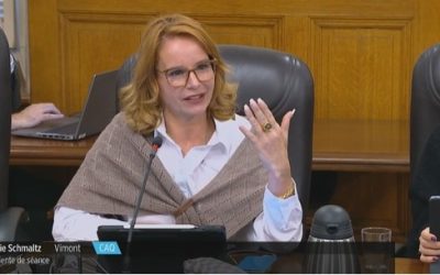 La députée de Vimont participe à la Commission des relations avec les citoyens sur la planification pluriannuelle de l’immigration.